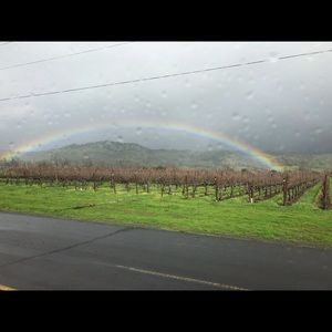 Meet your Posher, Hope